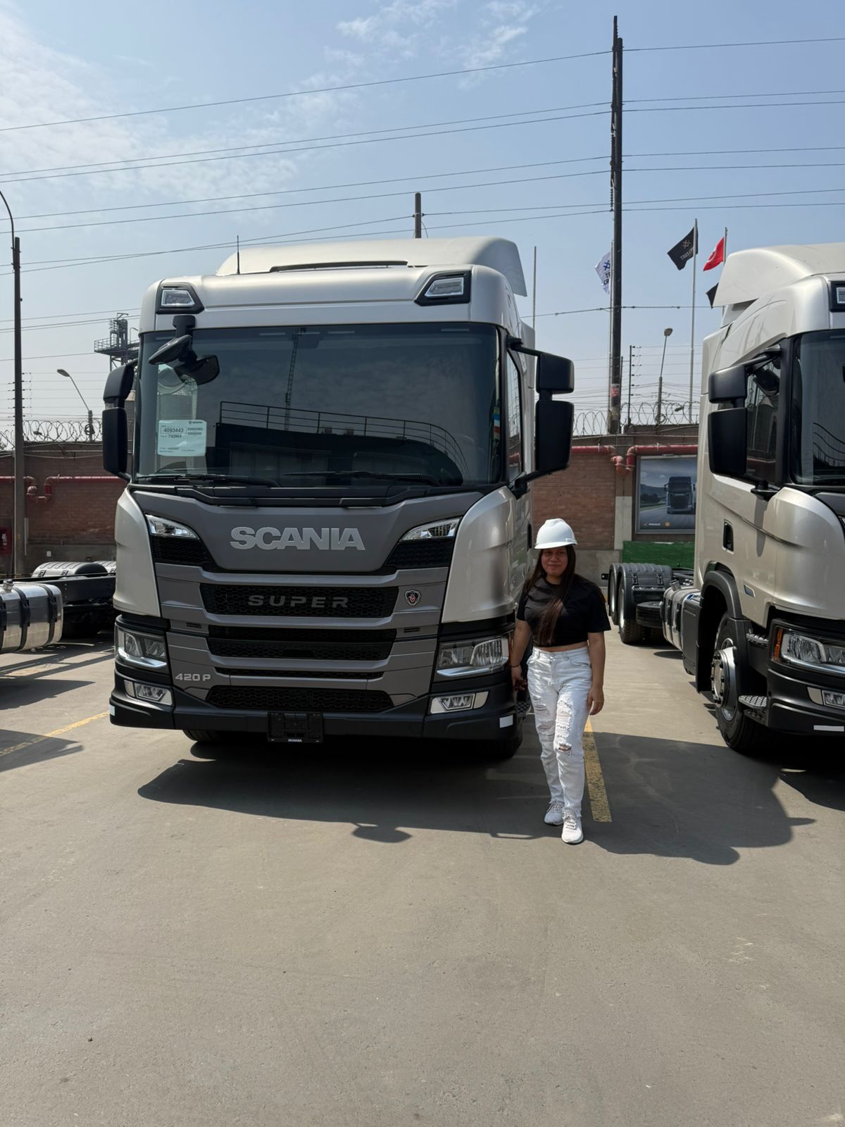 Camión de transporte de mercancías TLI Perú en ruta nacional